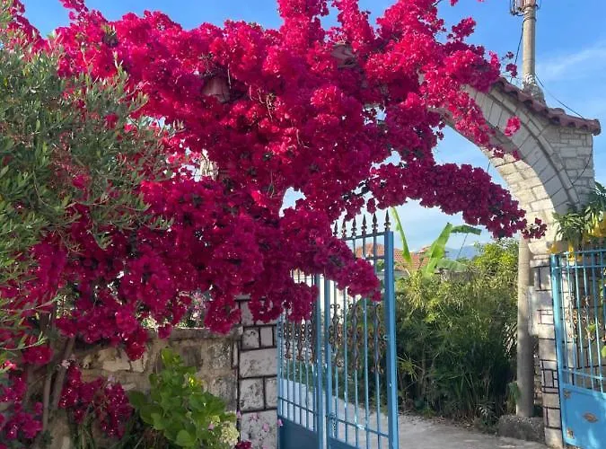 Ξενοδοχείο Hena